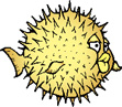openBSD