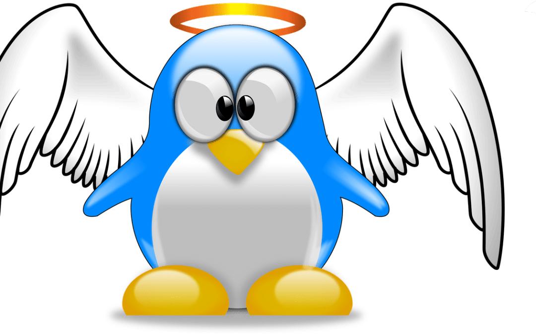 Which Linux Distribution Is Best for Dedicated Servers?
